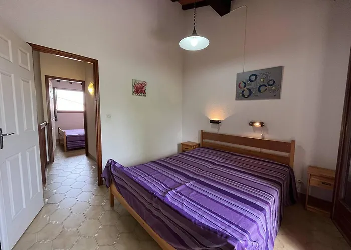 T3 Avec Piscine, Proche Et Aqualand, Saint-cyprien - Fr-1-106-48 Saint-Cyprien (Pyrenees-Orientales)